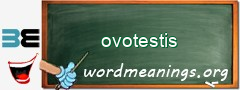 WordMeaning blackboard for ovotestis